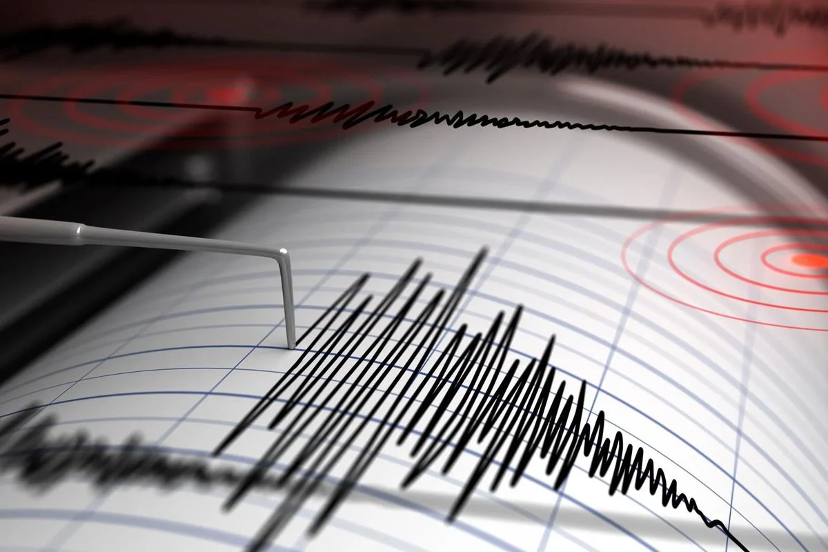 Gaziantep’te 4,6 Büyüklüğünde Deprem! Çevre İllerde Hissedildi - Son Dakika