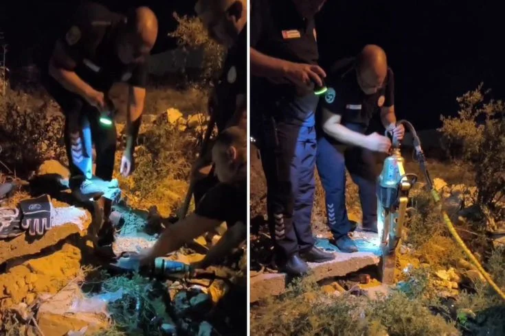 Hatay'da Demir Boruya Sıkışan Kirpi İtfaiyenin Titiz Çalışmasıyla Kurtarıldı - Son Dakika